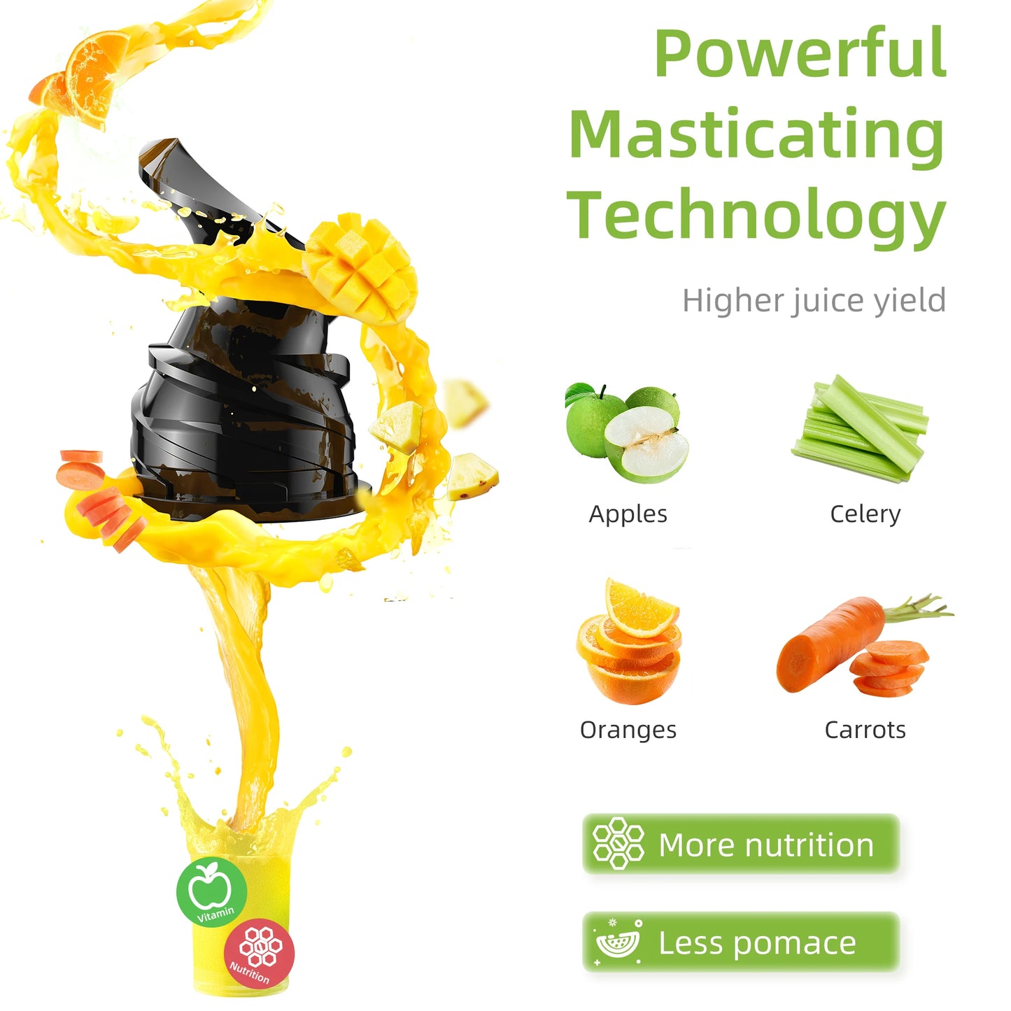 Blendease Cold Press Juicer Pro