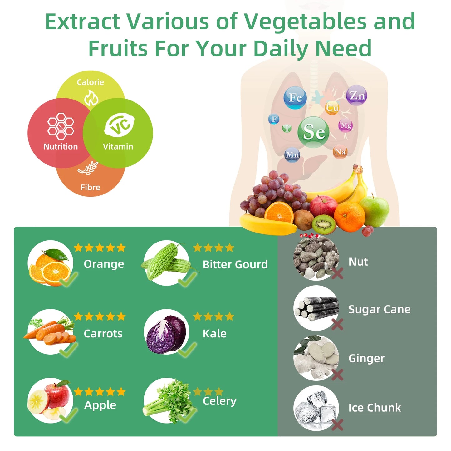 Blendease Cold Press Juicer Pro